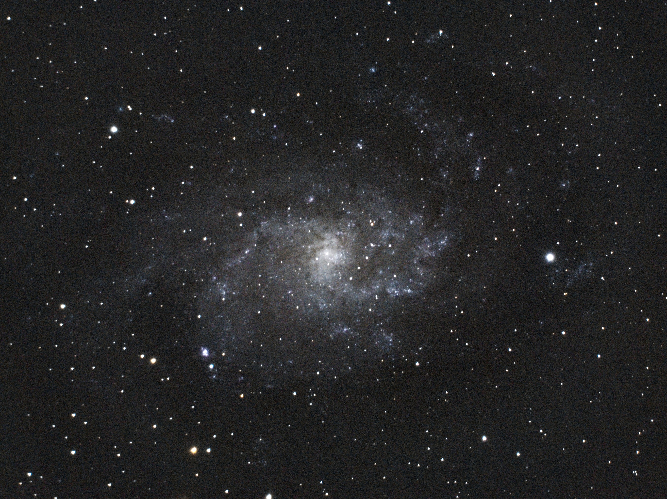 M33
