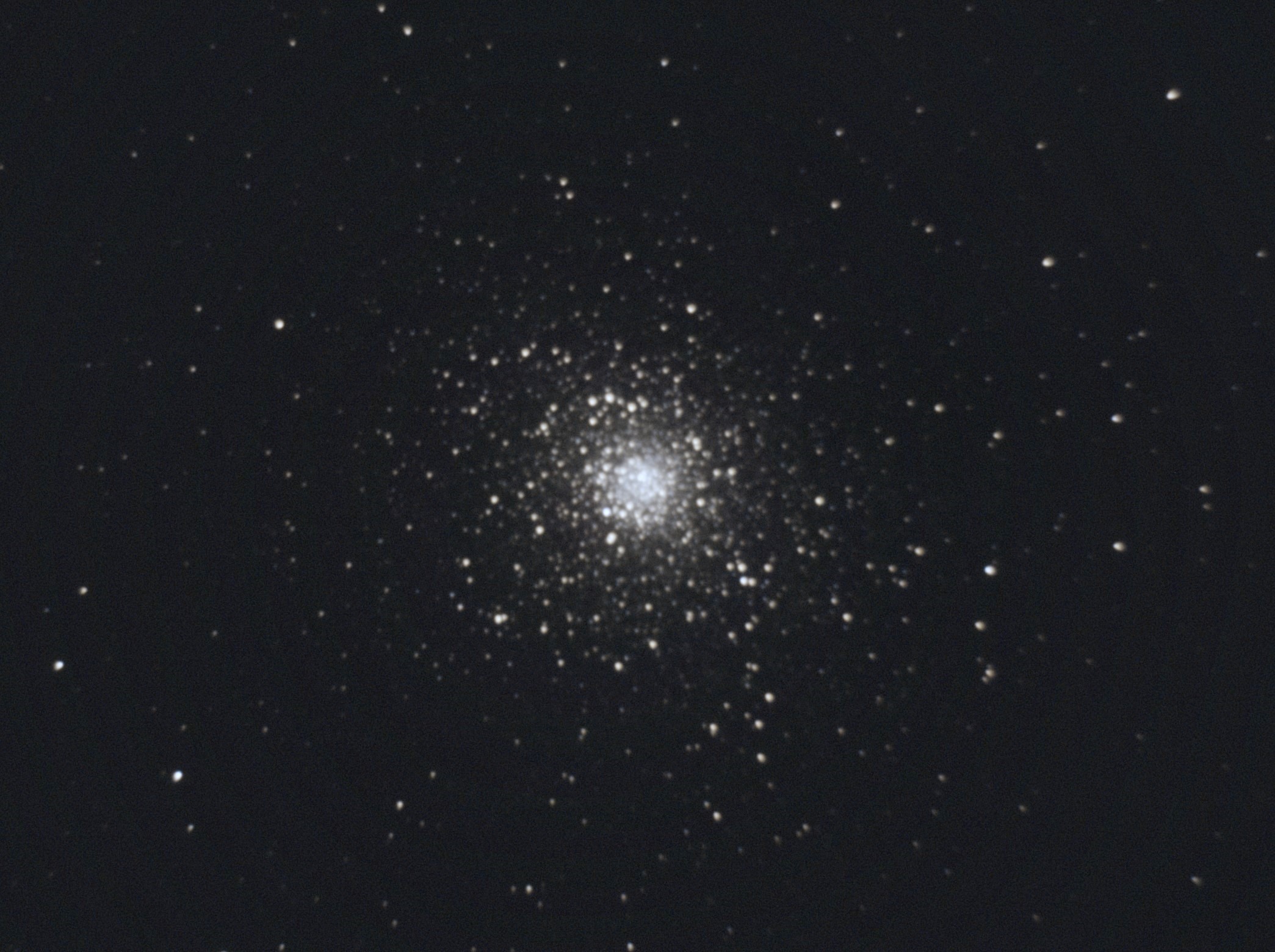 M5 - Rose Cluster